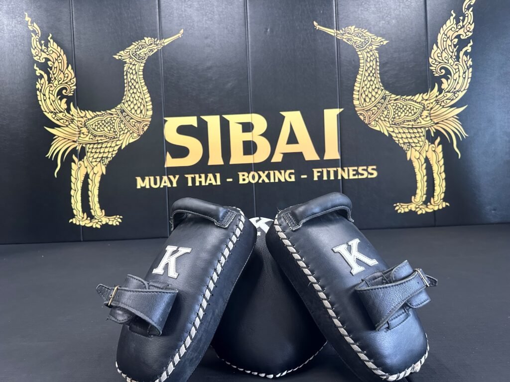 muay Thai Pads Training in Miami