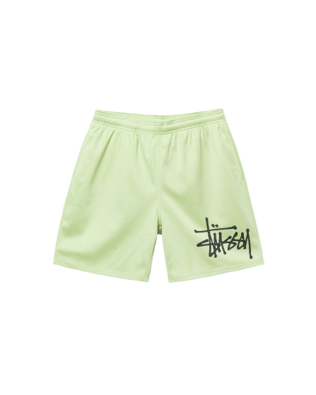 stussy shorts