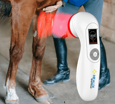 laser light therapy for horses