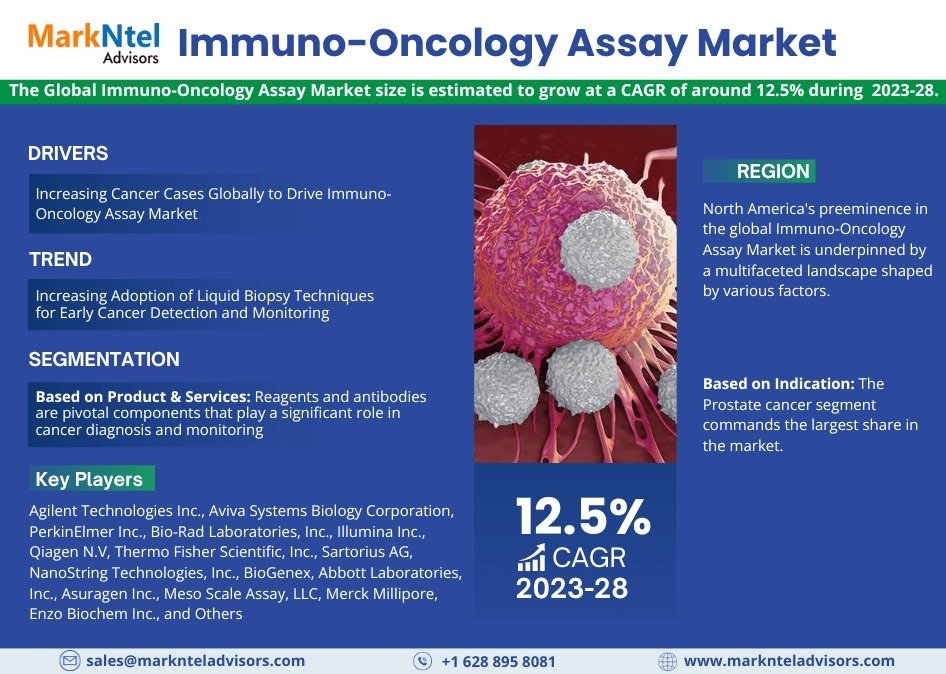 Immuno-Oncology Assay Market