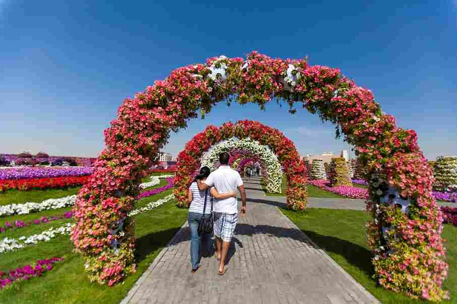 Miracle Garden in Summer