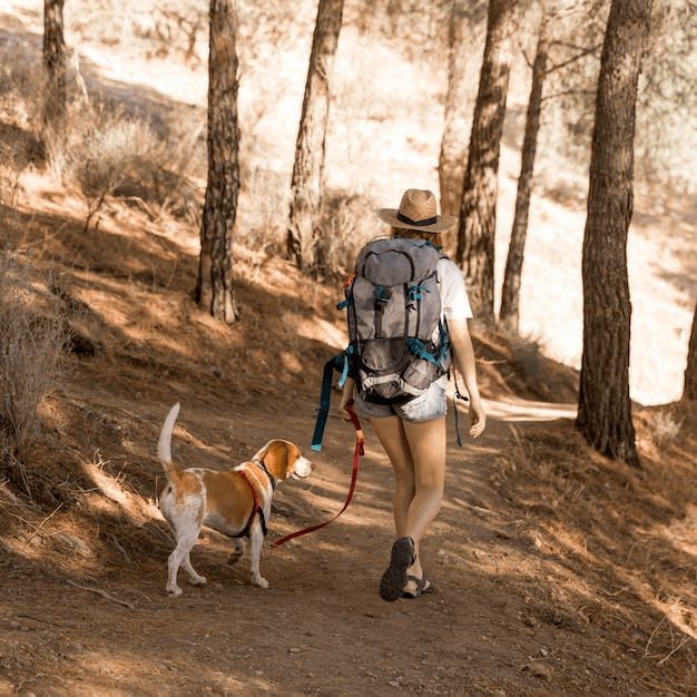 A hiker walking along a scenic trail with their dog, both enjoying the fresh air and nature.