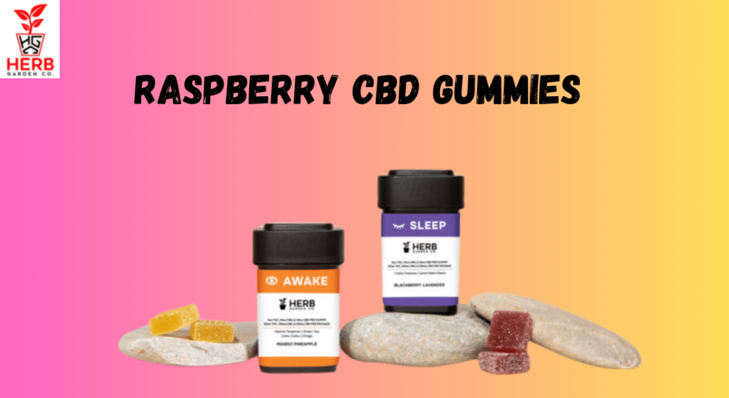 Raspberry CBD Gummies by The Herb Company