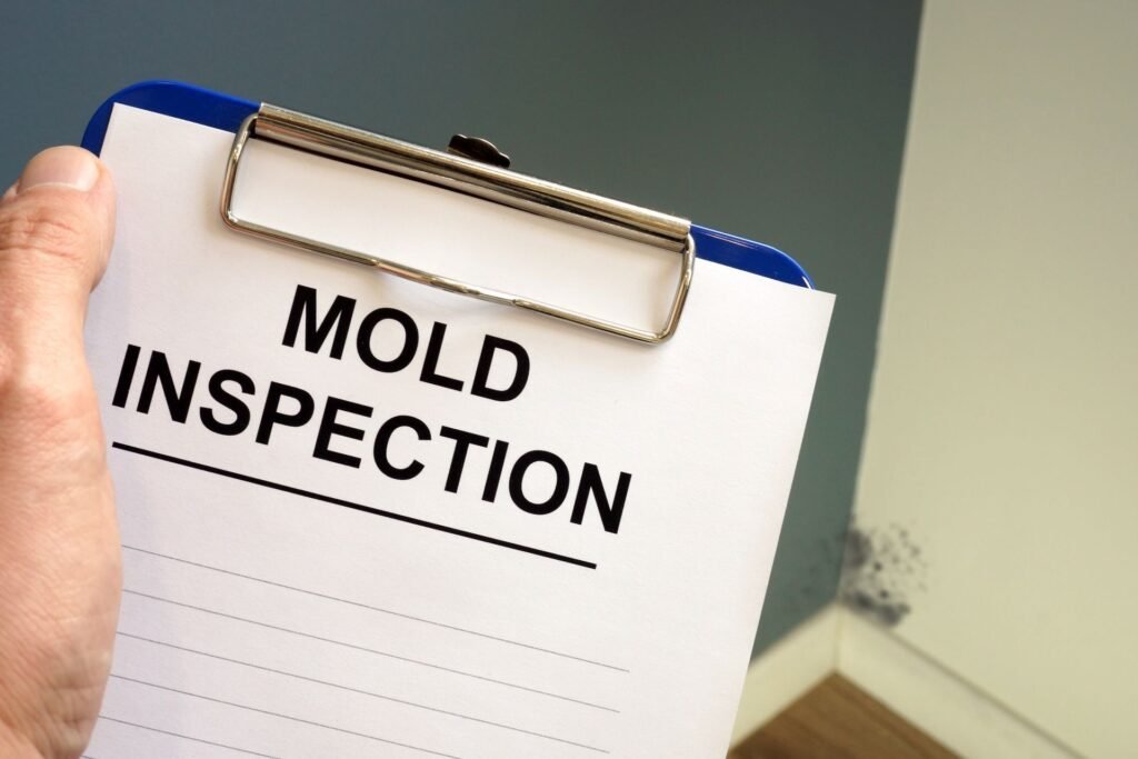 Mold Testing Dallas