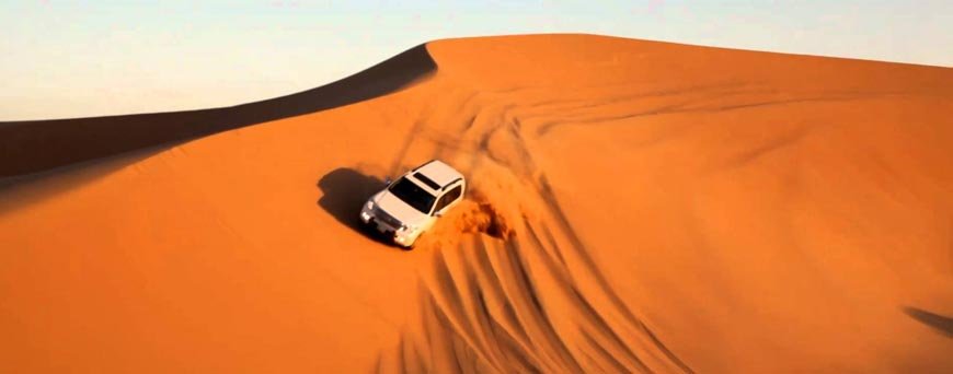 Morning Desert Safari Tour
