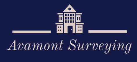 Surveyor