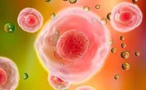 stem cell therapy