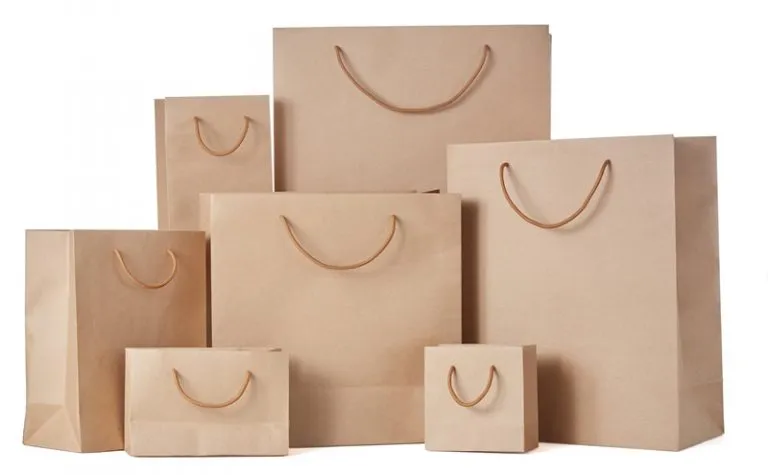Brown Paper Gift Bags