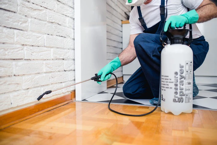 Pest control technician spraying pesticide along baseboard using a pressure sprayer indoors