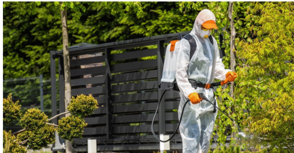 pest-control-services