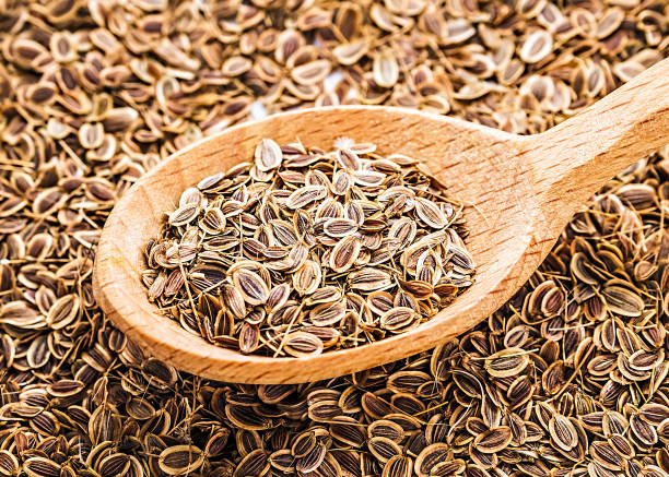 Dill Seeds