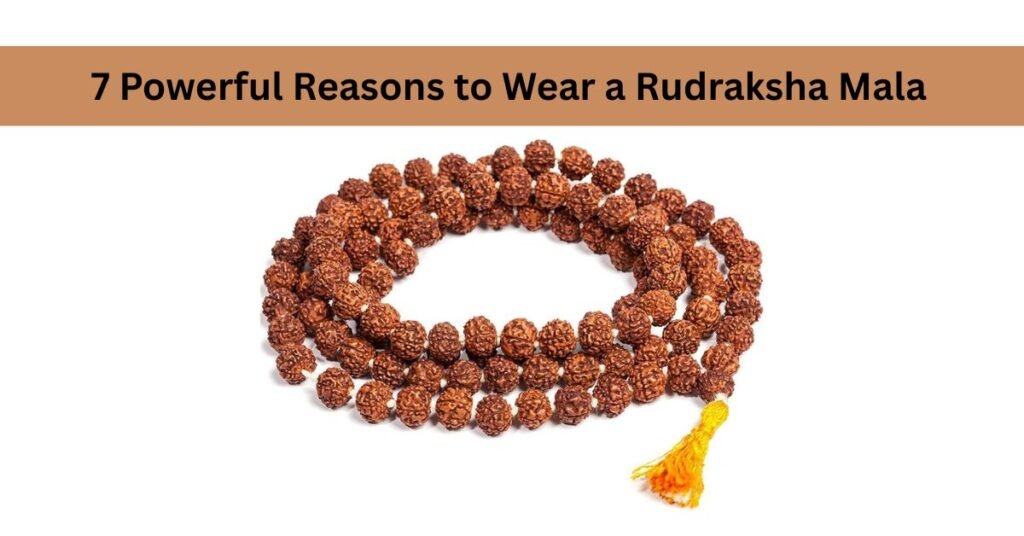 7 Powerful Reasons to Wear a Rudraksha Mala
