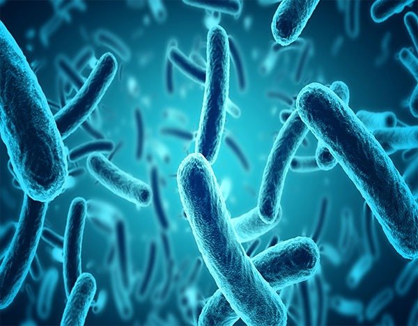 Vermact 12mg Tablet: A Powerful Solution for Parasitic Infections