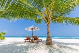 holiday packages