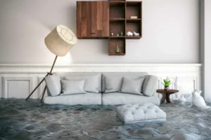 Water Damage Restoration Services in Commerce, GA & Mold Removal Services in Jefferson, GA 41 Cook's Proclean & Restoration