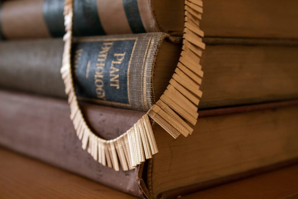 ip attorney