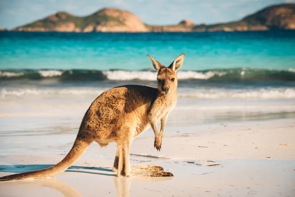 Australia visa for Pakistani