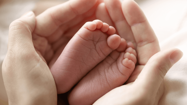 Maternity Insurance