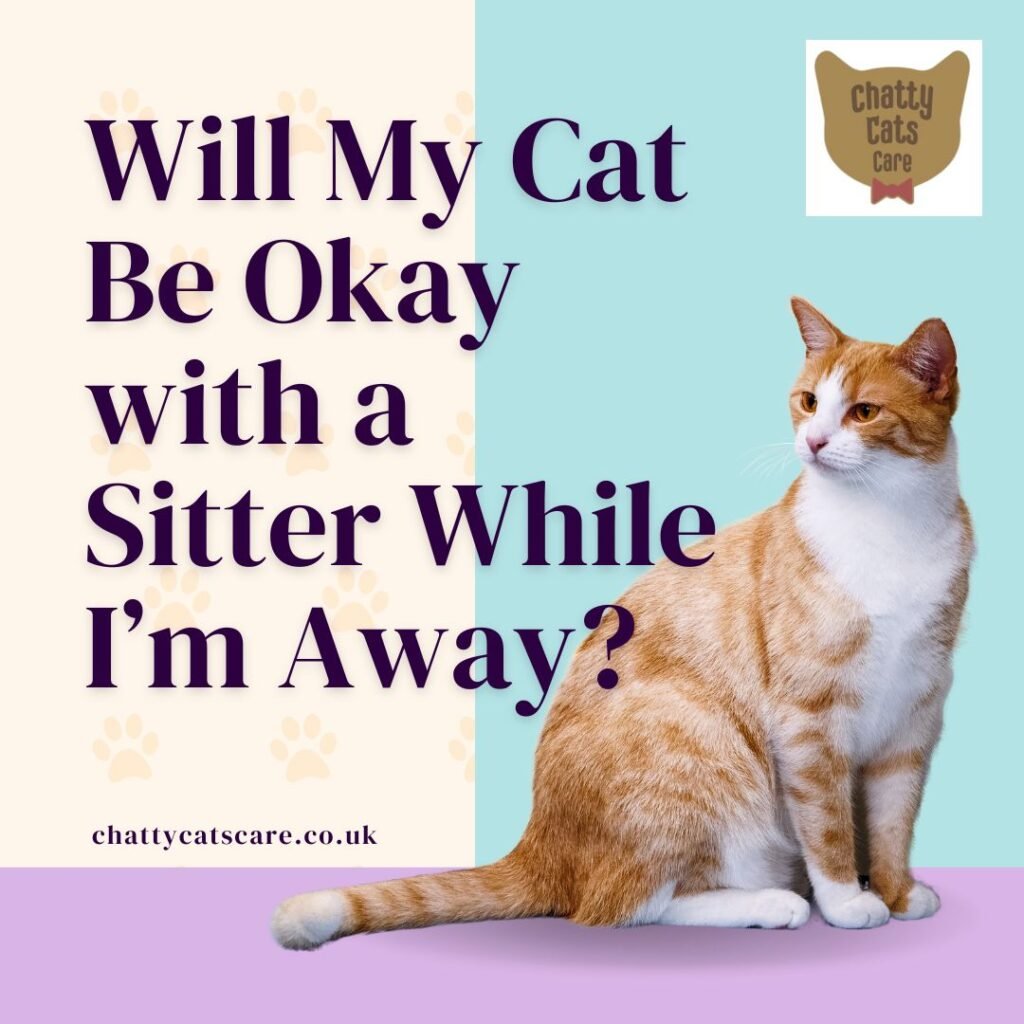 Will My Cat Be Okay with a Sitter While I’m Away
