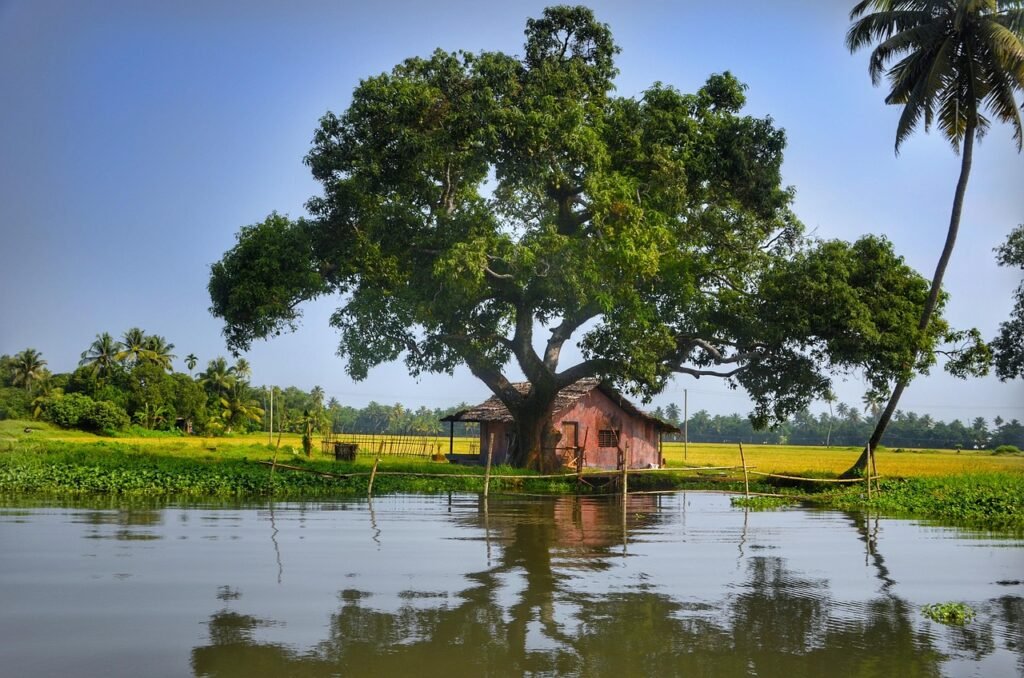 9 days kerala luxury honeymoon tour