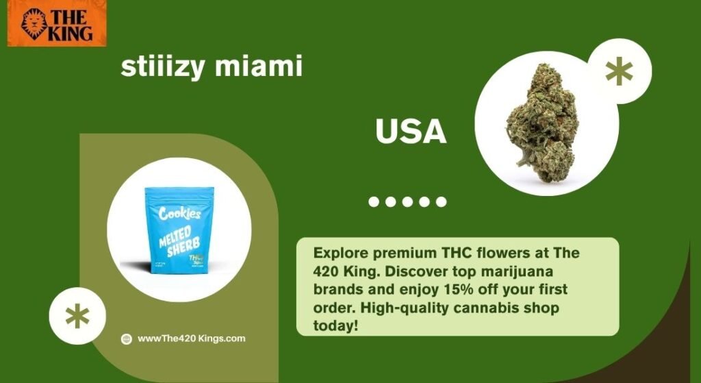 stiiizy miami