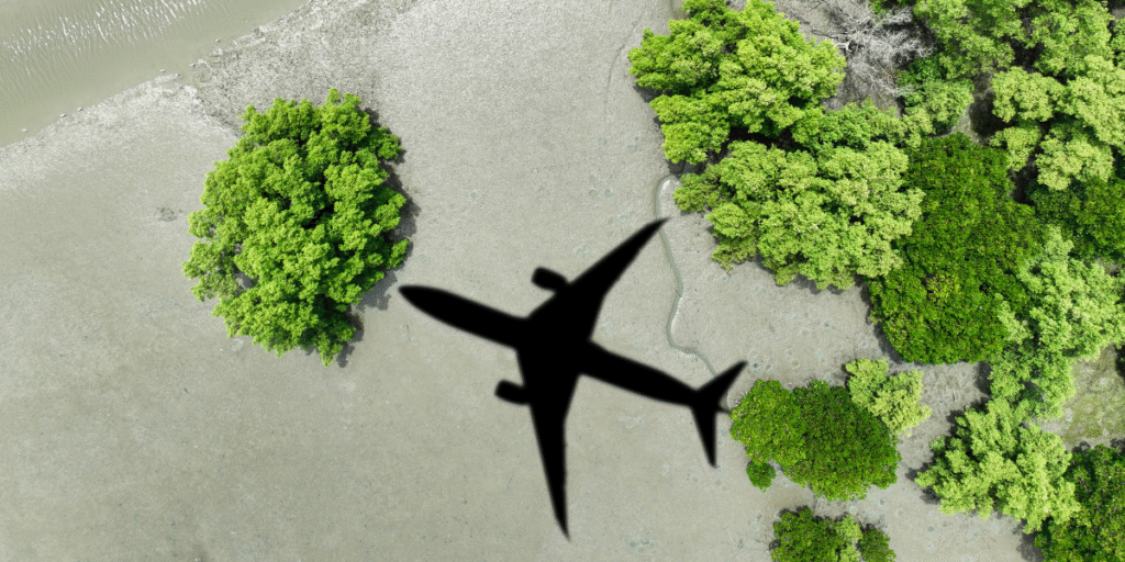 aviation fuel